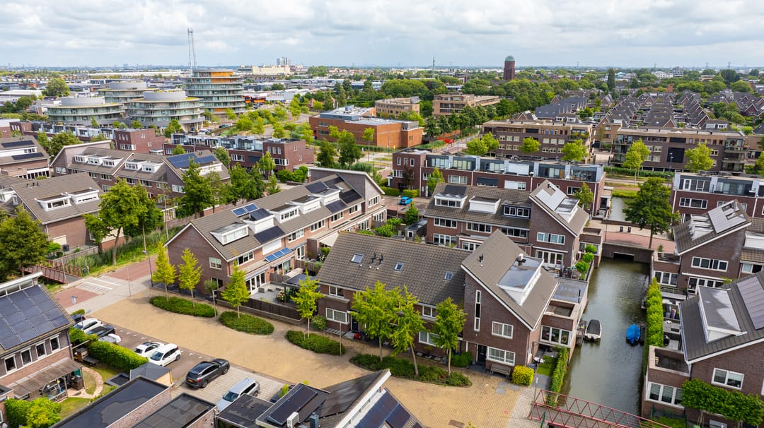 Foto 38 van Grijze Walvis 6