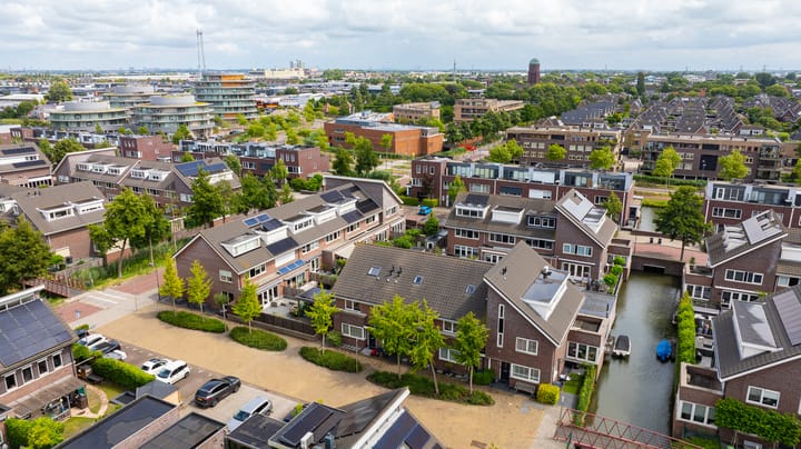 Foto 38 van Grijze Walvis 6