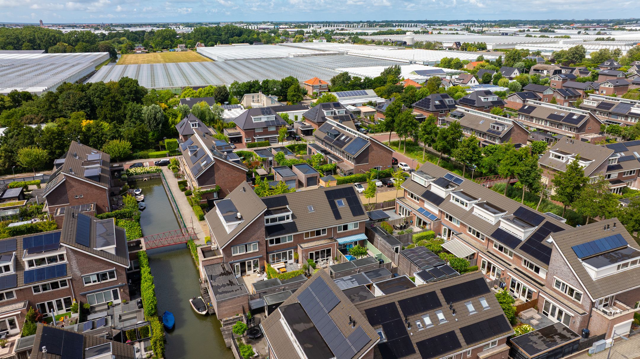 Foto 39 van Grijze Walvis 6