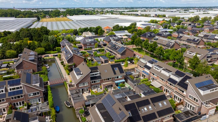 Foto 39 van Grijze Walvis 6