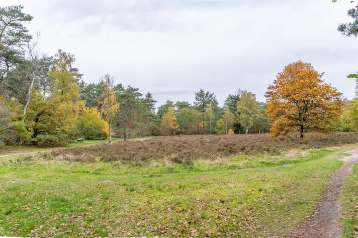 Foto 60 van Willem van Abcoudelaan 58