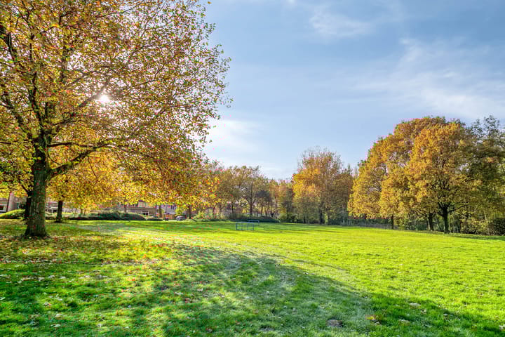 Foto 37 van Jan Tooroplaan 151