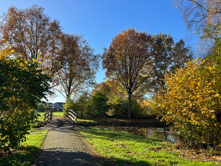 Foto 48 van Zetveld 169