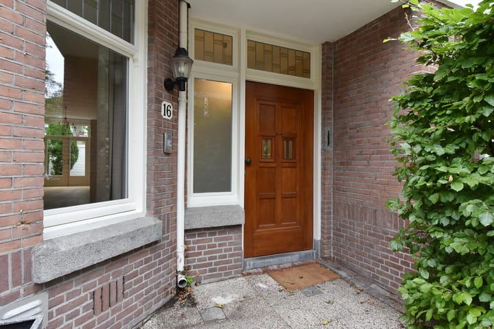 Foto 46 van Dedelstraat 16