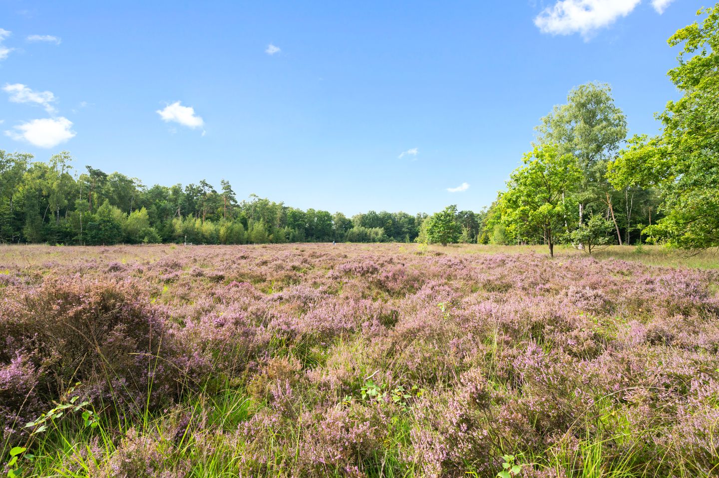 Foto 55 van Titia Goedhuisstraat 26