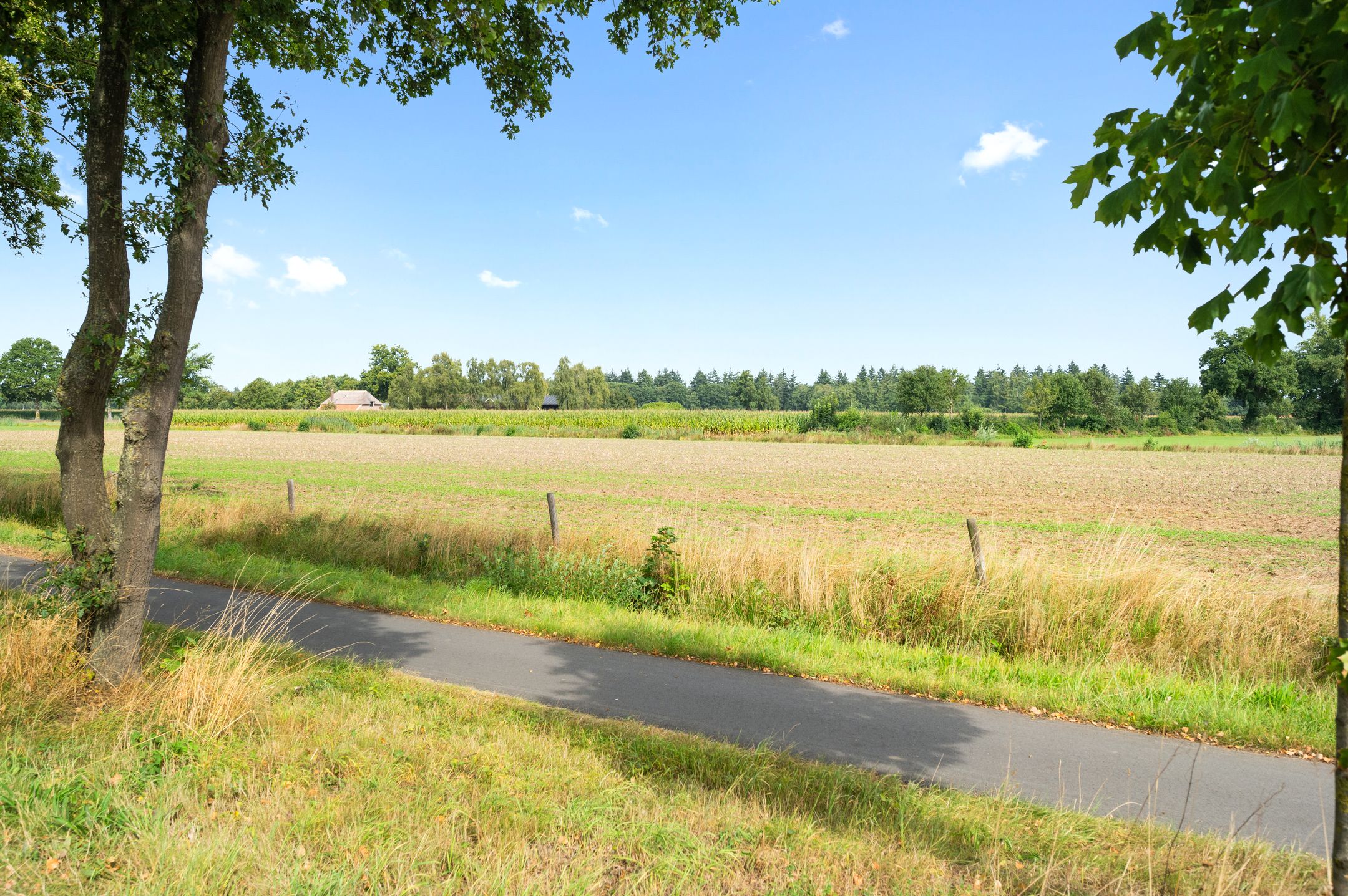 Foto 57 van Titia Goedhuisstraat 26