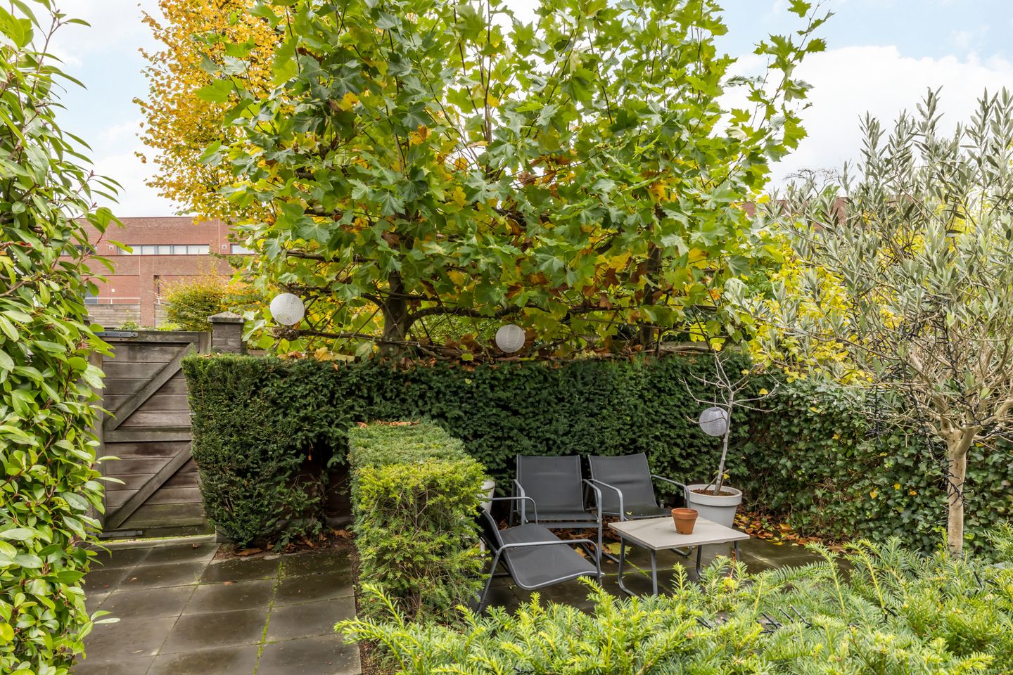 Photo 44 of Burg. van Rooystraat 41