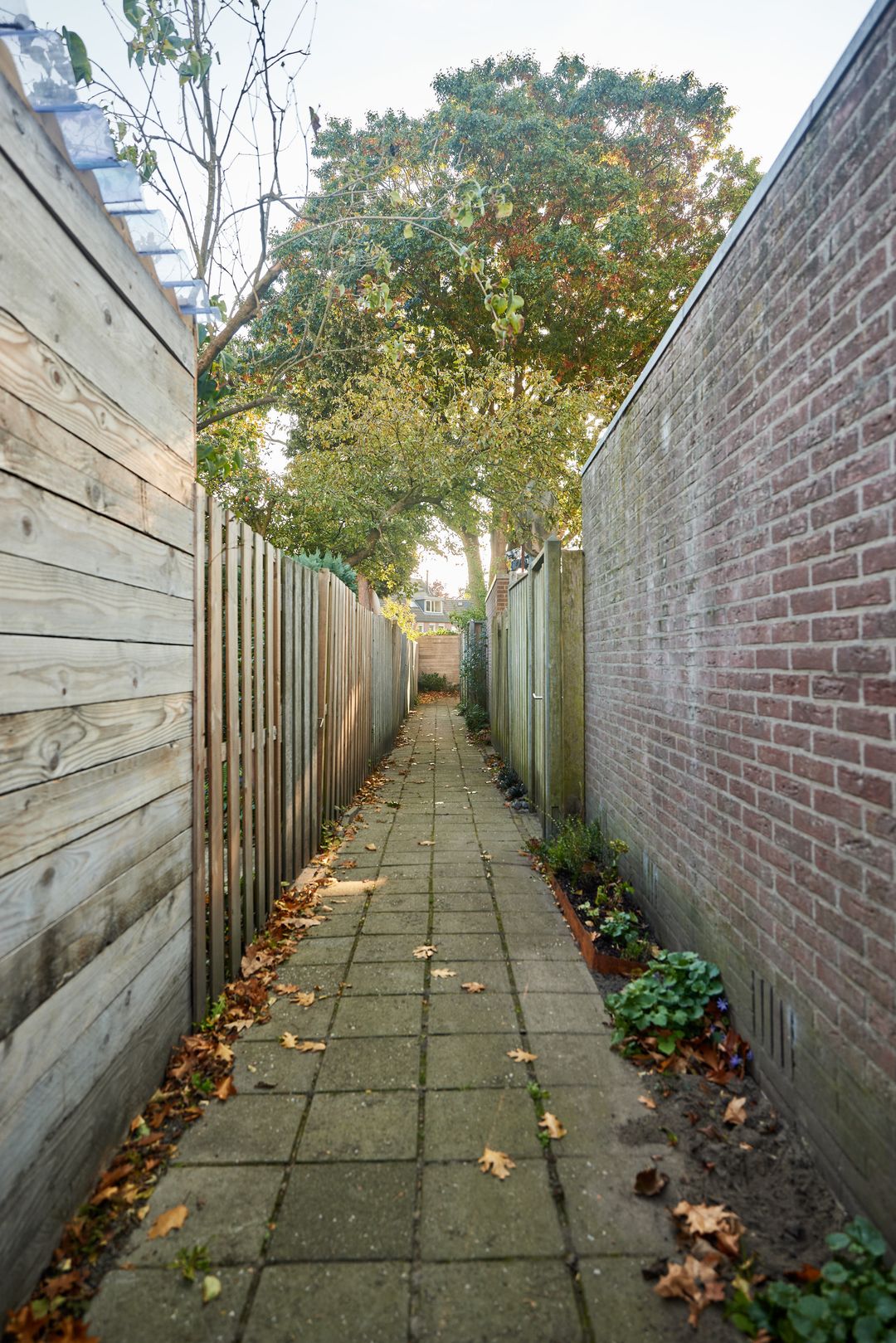 Foto 58 van Thorbeckestraat 24