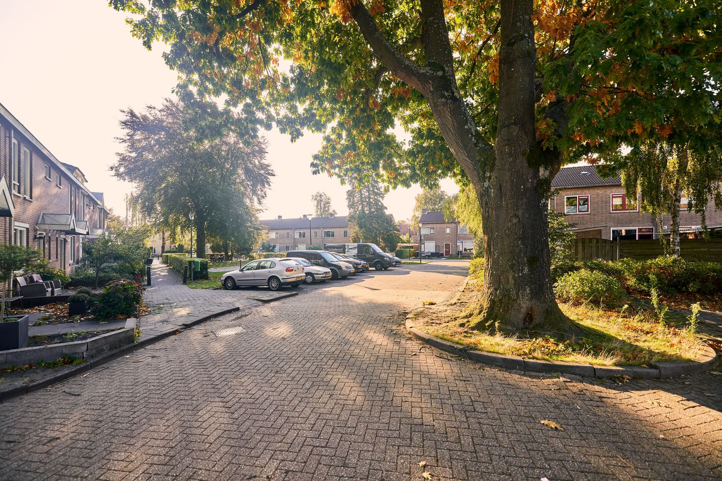 Foto 59 van Thorbeckestraat 24