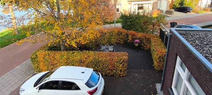 Photo 44 of Refterstraat 44