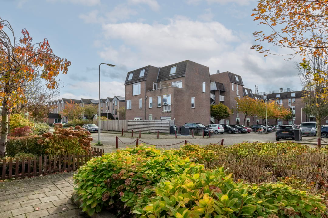 Photo 7 of Goudmos 78