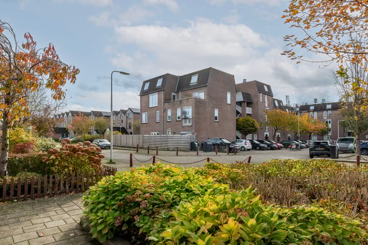 Photo 7 of Goudmos 78