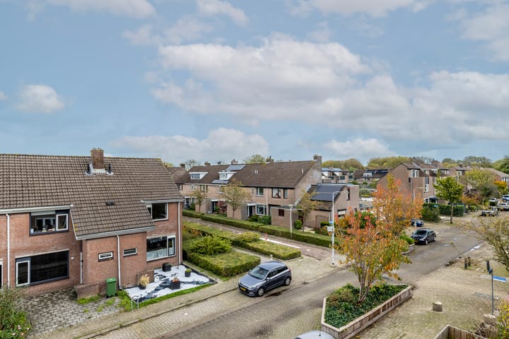 Photo 30 of Goudmos 78