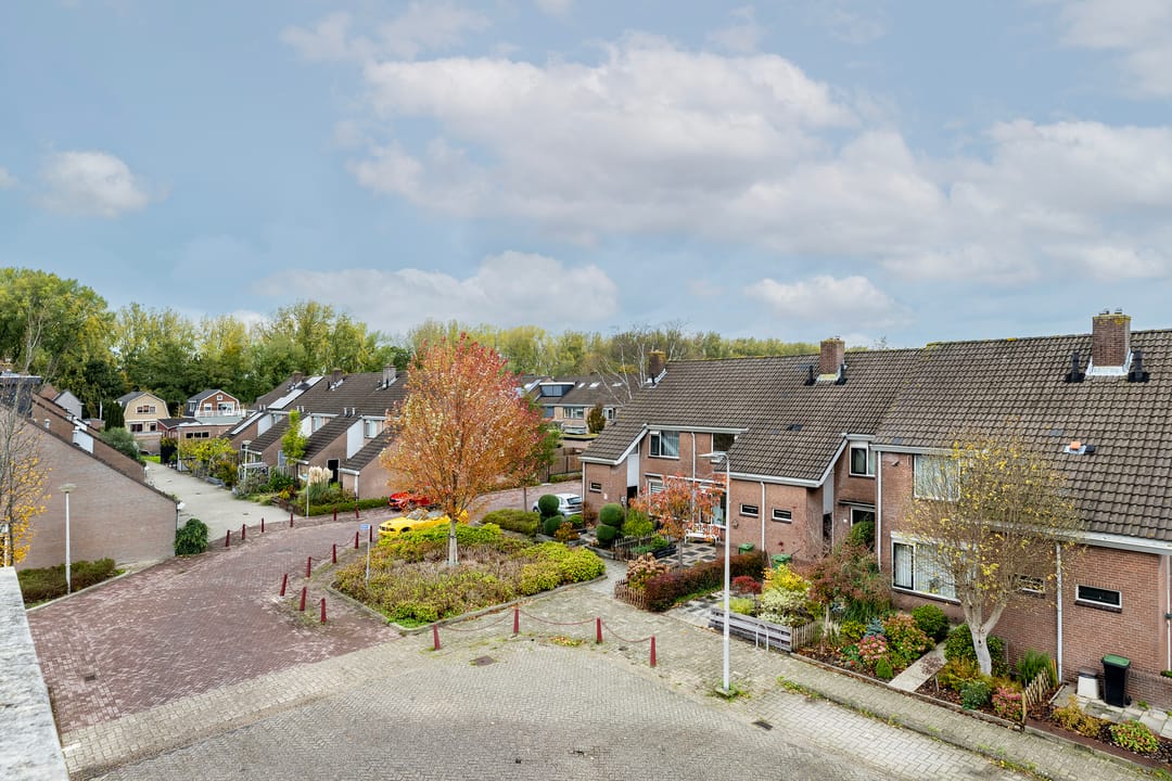 Photo 32 of Goudmos 78