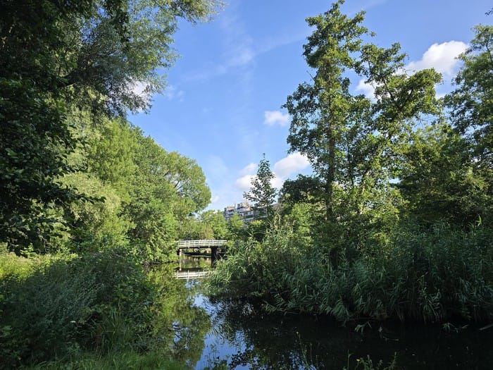 Photo 34 of Engelandlaan 1236