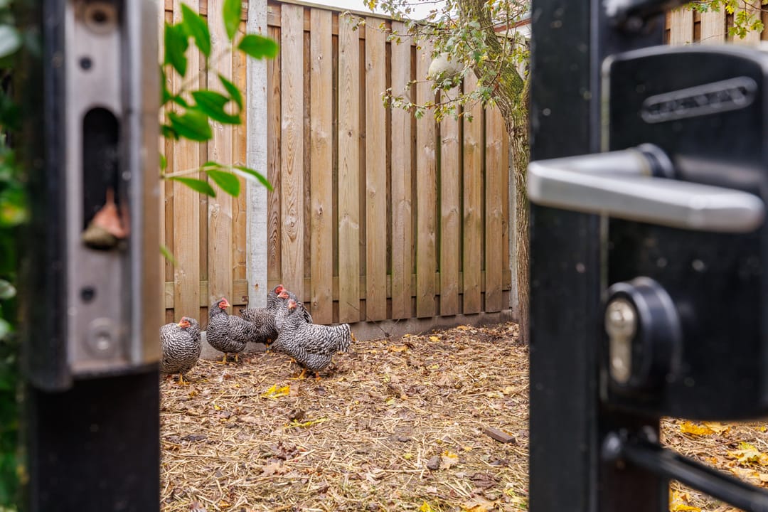 Foto 43 van Kruissteenweg 77