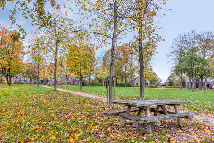 Foto 51 van Ruiterspoor 37