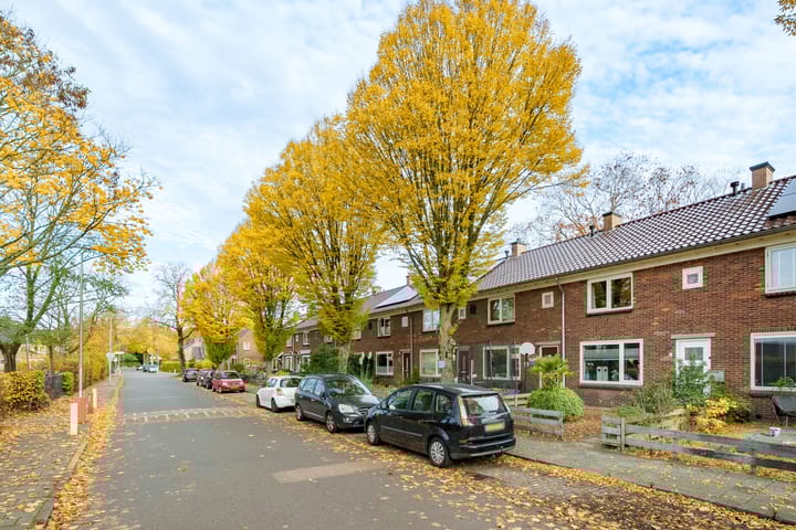 Photo 20 of Sumatralaan 8