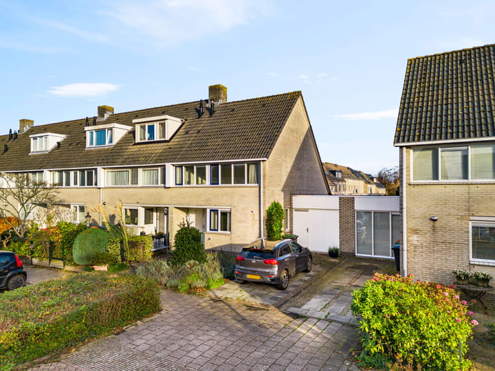 Photo 2 of Zwarte mees 10