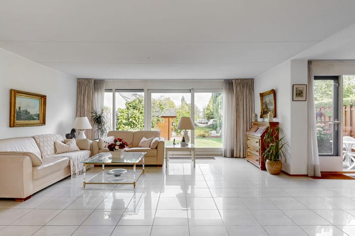 Photo 6 of Zwarte mees 10