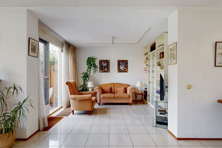 Photo 7 of Zwarte mees 10