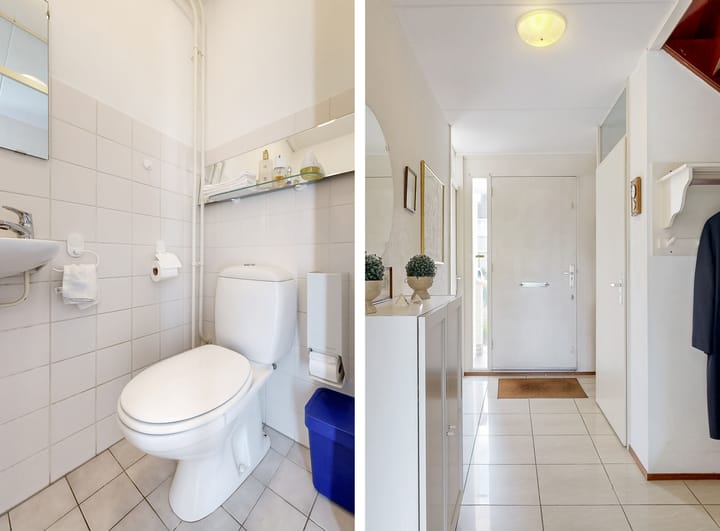 Photo 11 of Zwarte mees 10