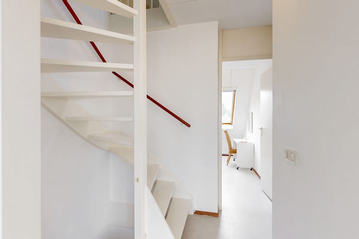 Photo 12 of Zwarte mees 10