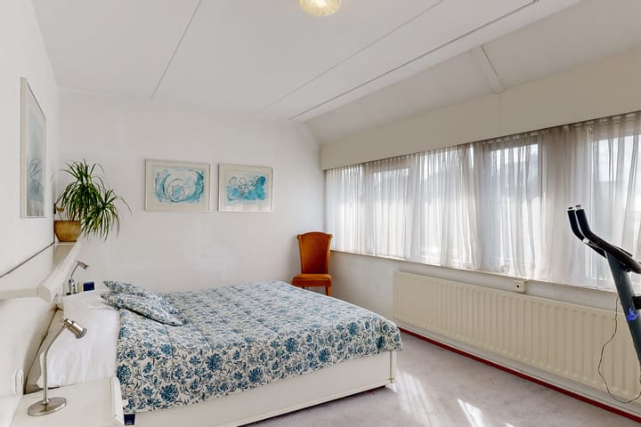 Photo 13 of Zwarte mees 10