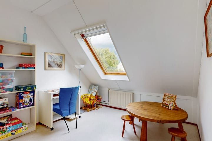 Photo 15 of Zwarte mees 10