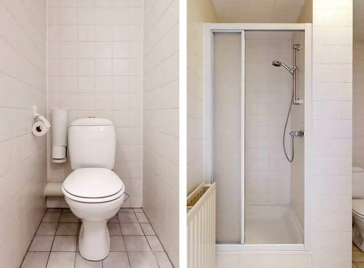 Photo 17 of Zwarte mees 10