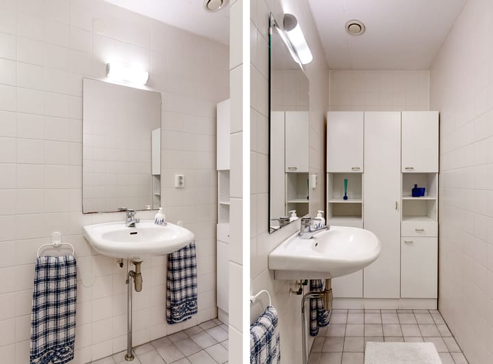 Photo 18 of Zwarte mees 10