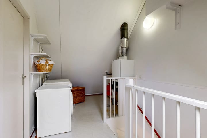 Photo 19 of Zwarte mees 10