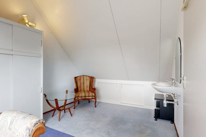 Photo 20 of Zwarte mees 10