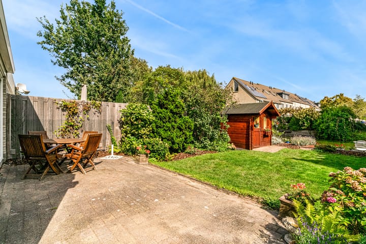 Photo 21 of Zwarte mees 10