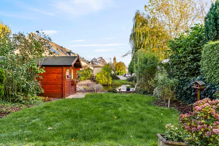 Photo 22 of Zwarte mees 10