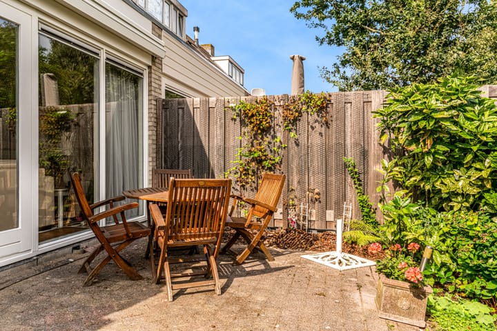 Photo 24 of Zwarte mees 10