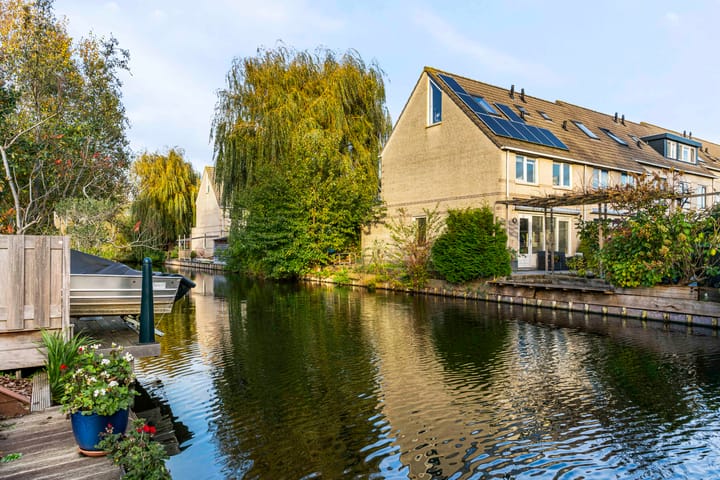 Photo 26 of Zwarte mees 10