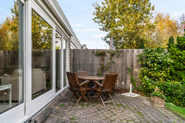 Photo 27 of Zwarte mees 10