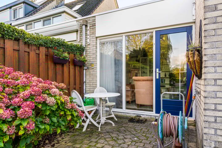 Photo 28 of Zwarte mees 10