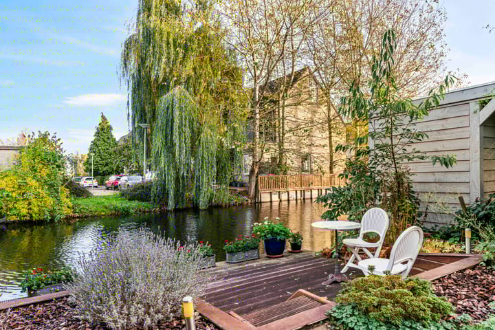 Photo 29 of Zwarte mees 10