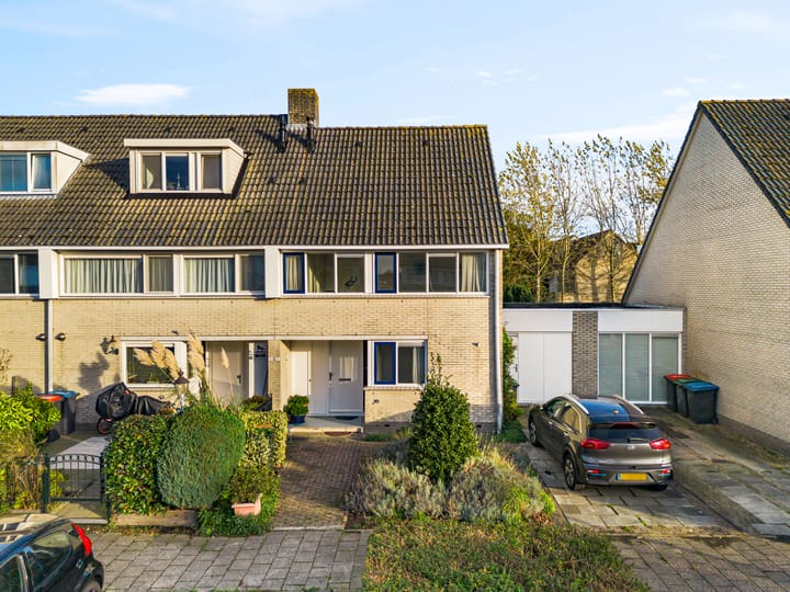 Photo 31 of Zwarte mees 10