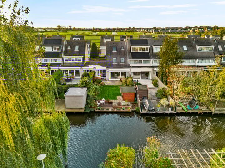 Photo 30 of Zwarte mees 10