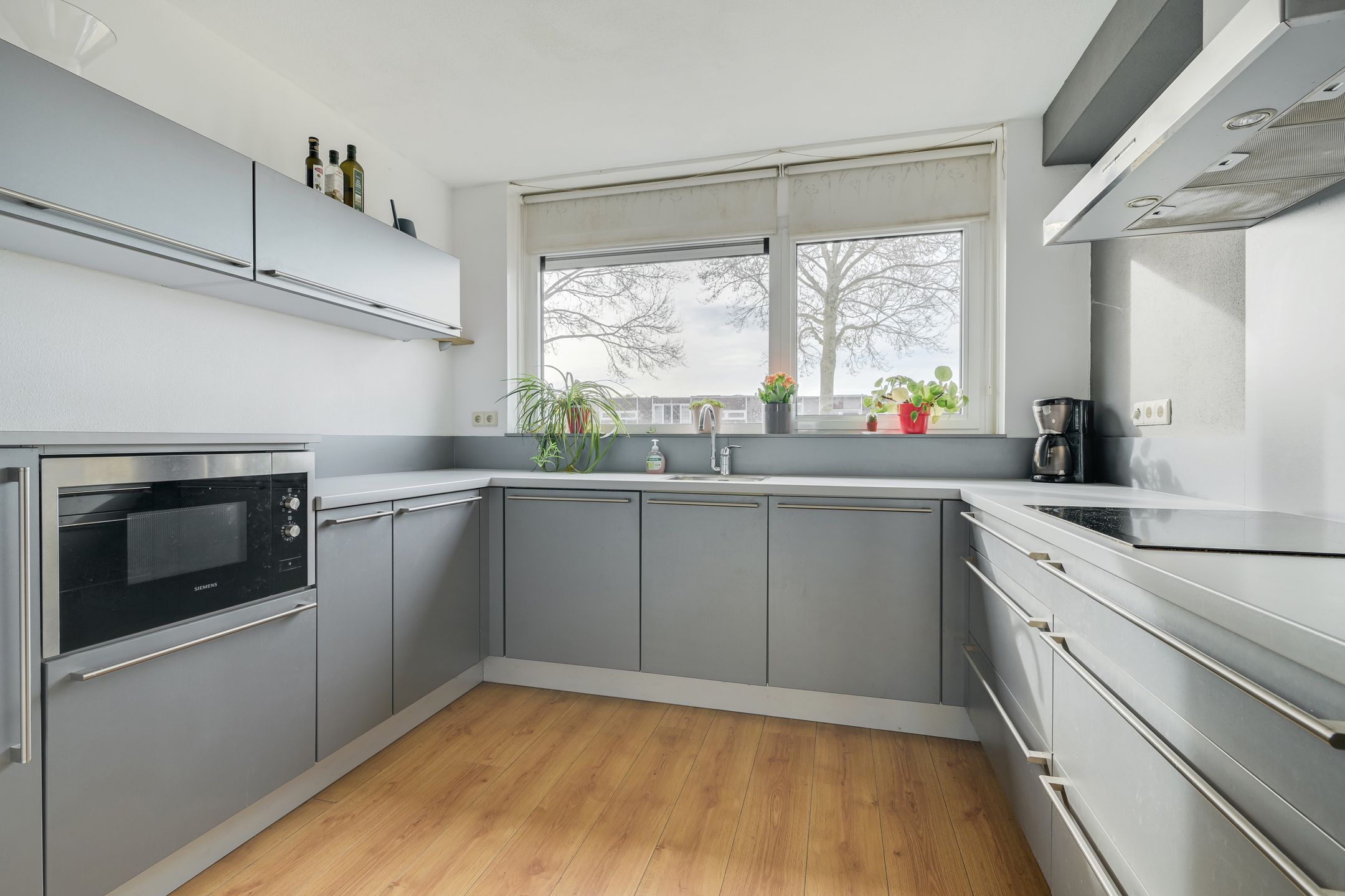 Foto 15 van Waterviolier 152