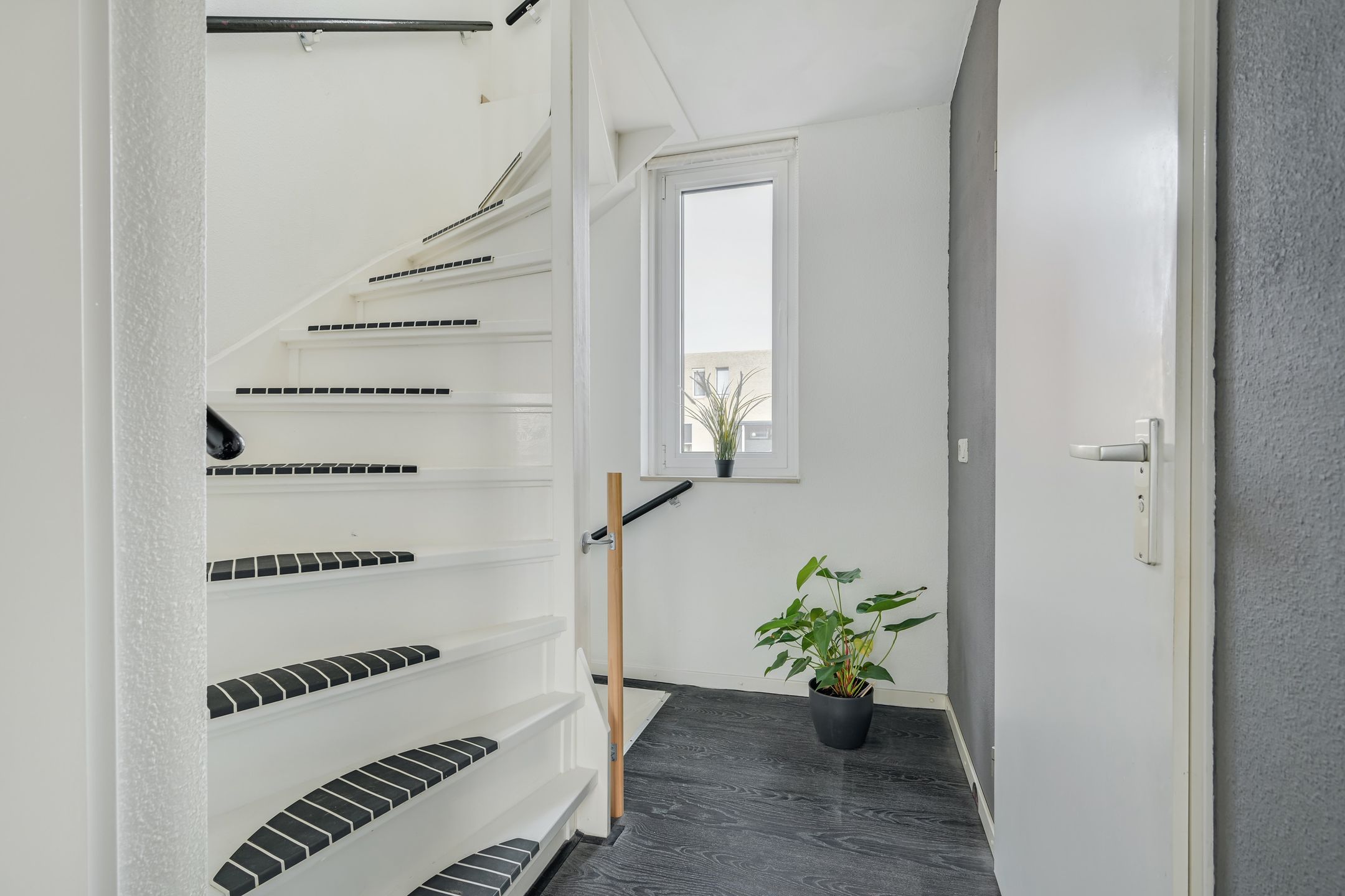 Foto 30 van Waterviolier 152