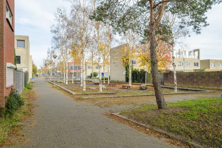 Photo 48 of Waterviolier 152