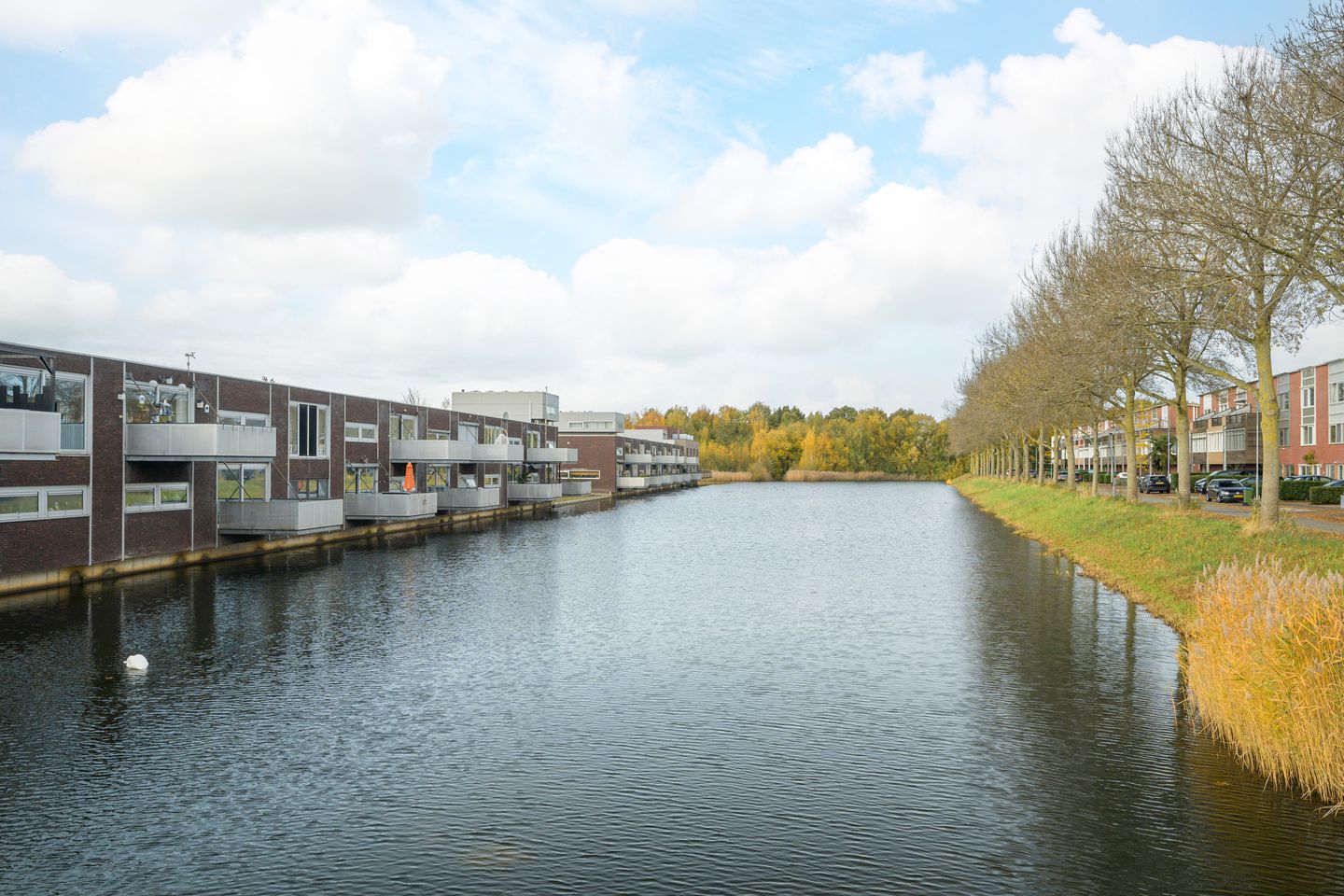 Foto 49 van Waterviolier 152