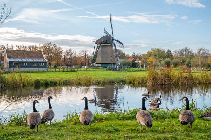 Foto 33 van Rodelaan 211