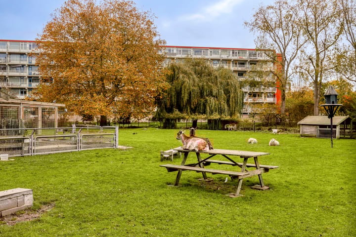 Foto 31 van Glenn Millerstraat 7