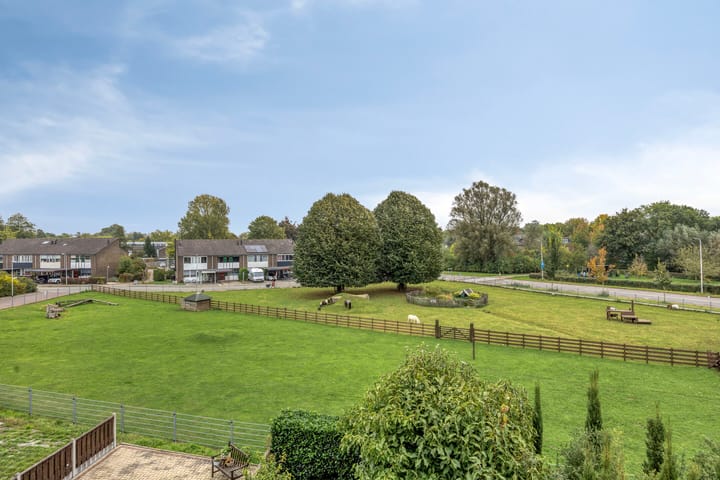 Photo 19 of Het Zwanevlot 269