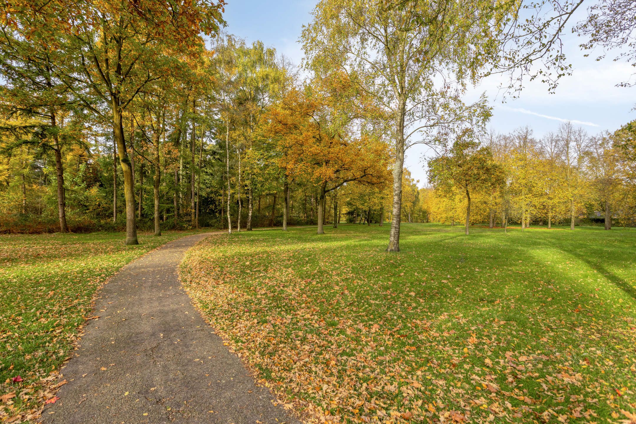 Photo 51 of Landschrijversveld 115